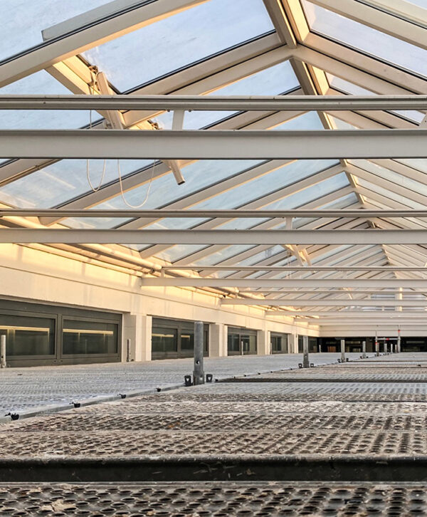 Gerüstbau – Flächengerüste 1 – Rohrer Suisse AG